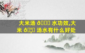 大米汤 💐 水功效,大米 🦆 汤水有什么好处